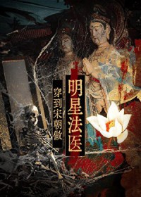 穿到宋朝做明星法医